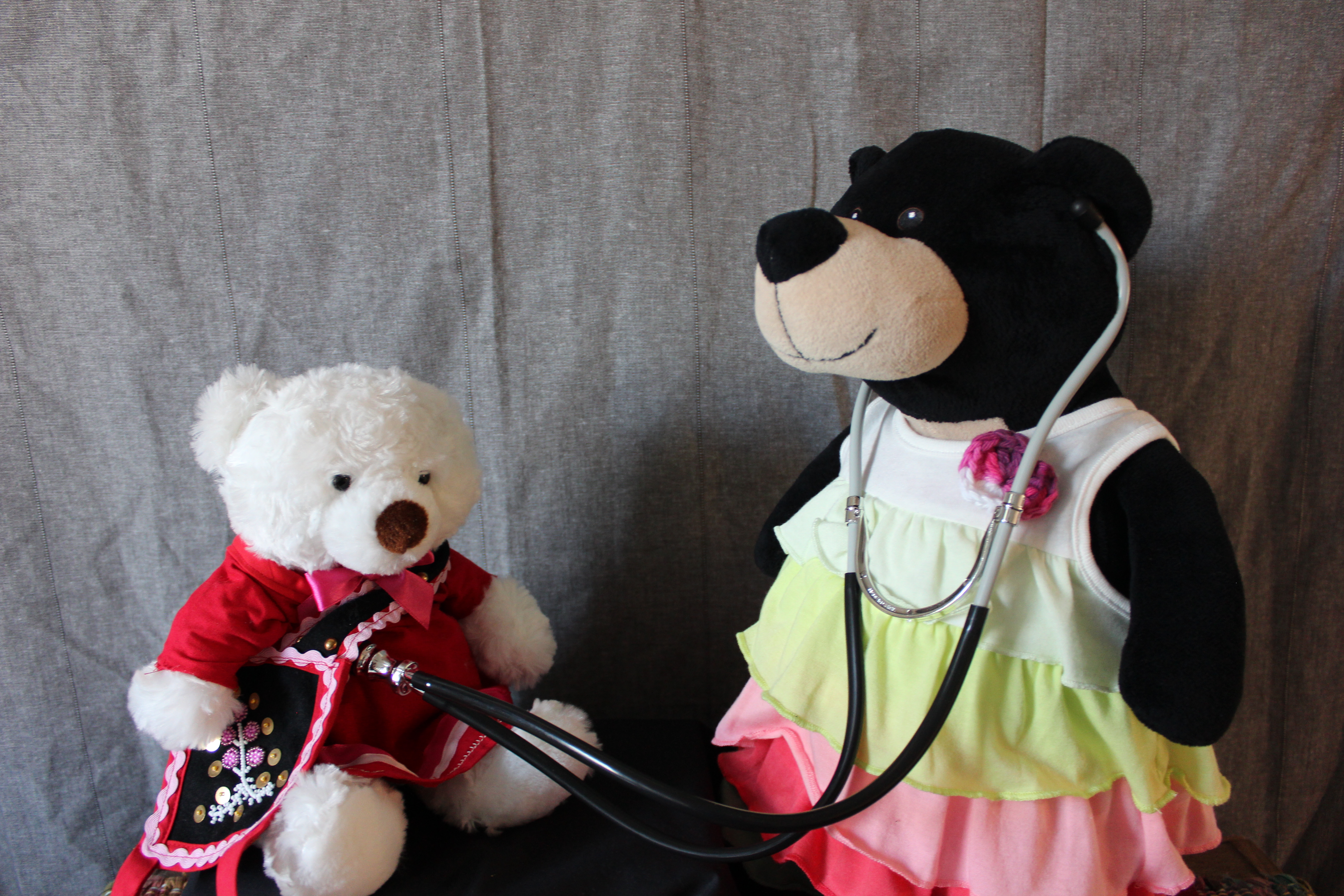 Mary the Bear would make a great doctor!
