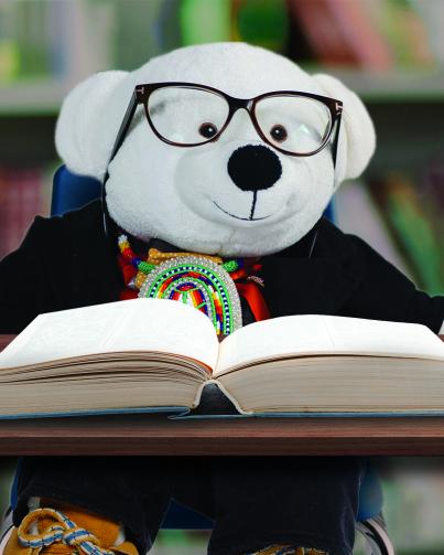 Spirit Bear reading a book