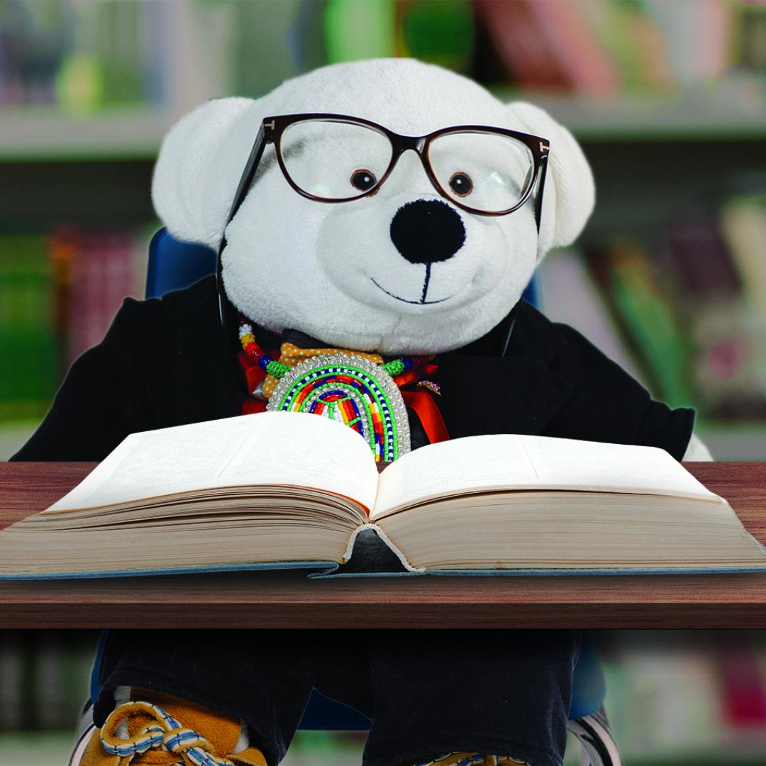 Spirit Bear reading a book