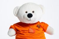 Spirit Bear wearing an orange shirt
